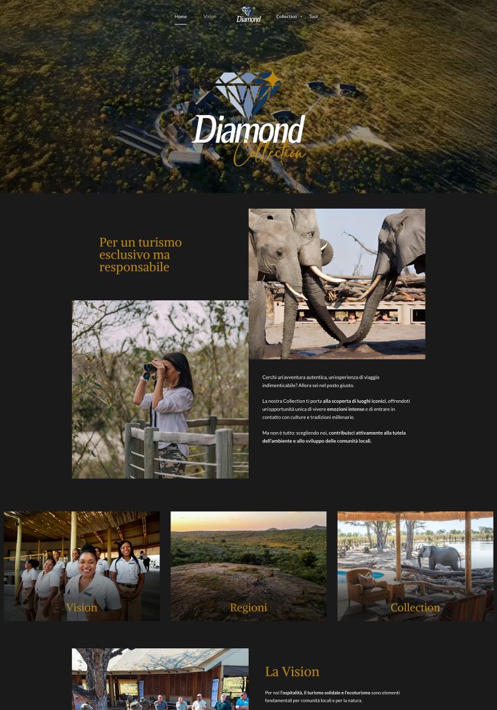 diamond - realizzazione siti web